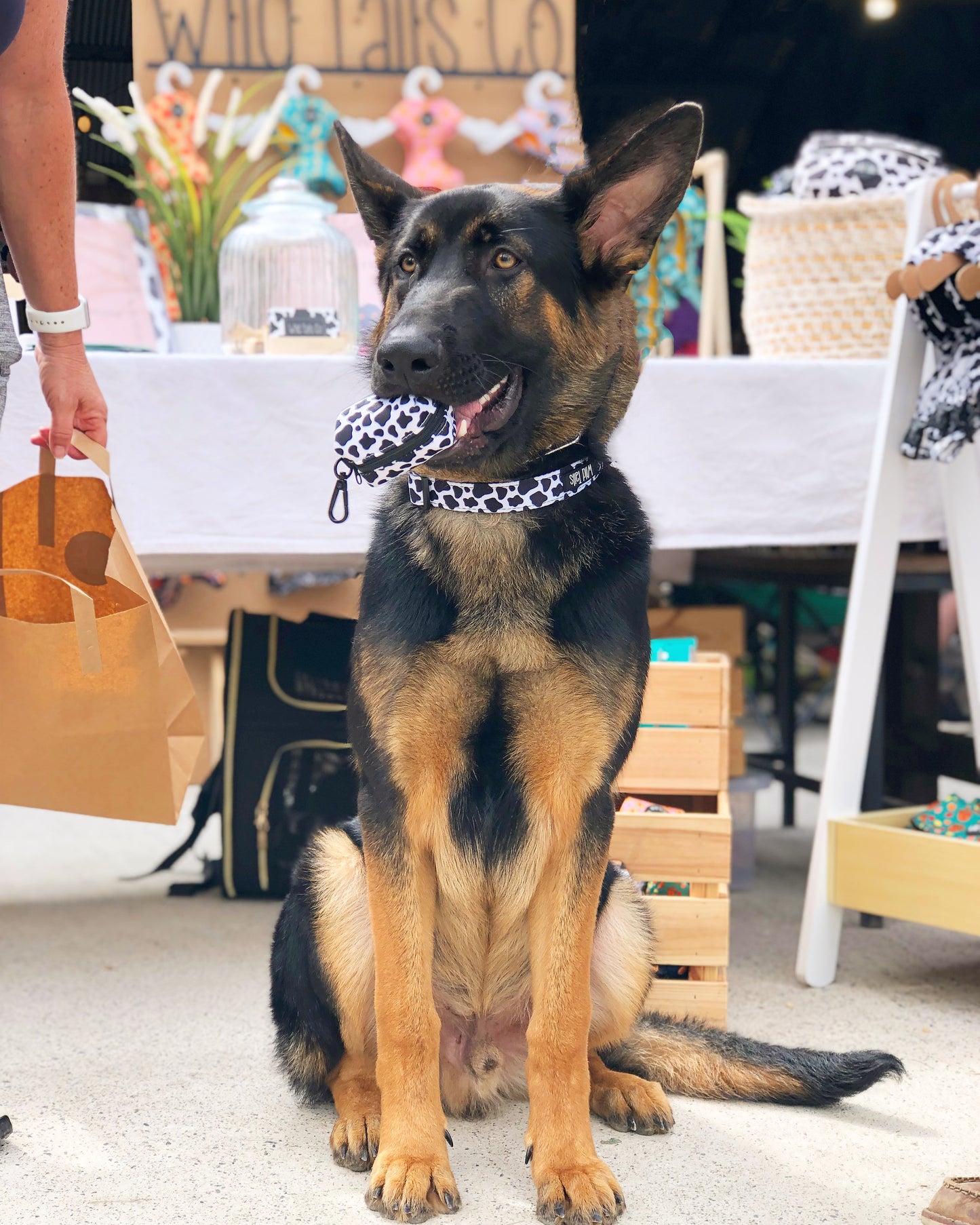 Making Mooves Poo Bag Holder