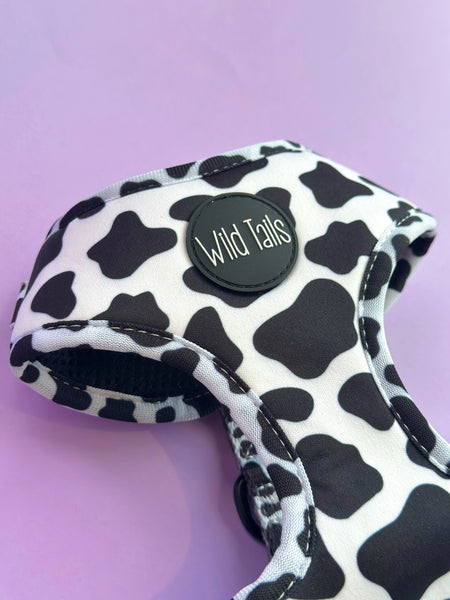 Making Mooves Harness