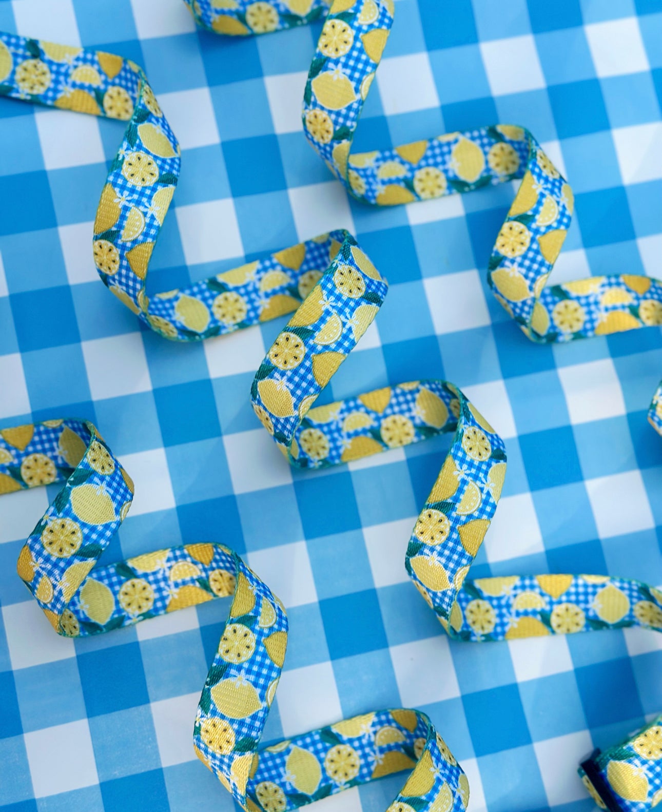 Lemon Squeezy Adjustable Lead