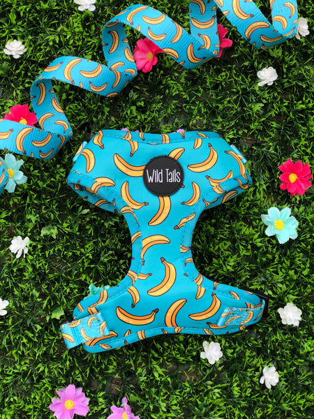 Go Bananas Harness