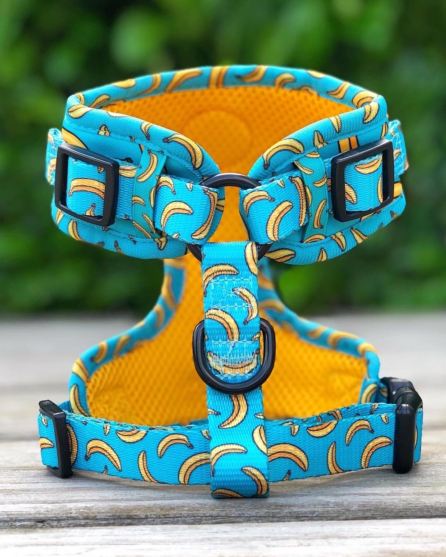 Go Bananas Harness