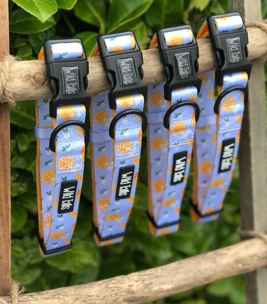 Orange Blossom Collar