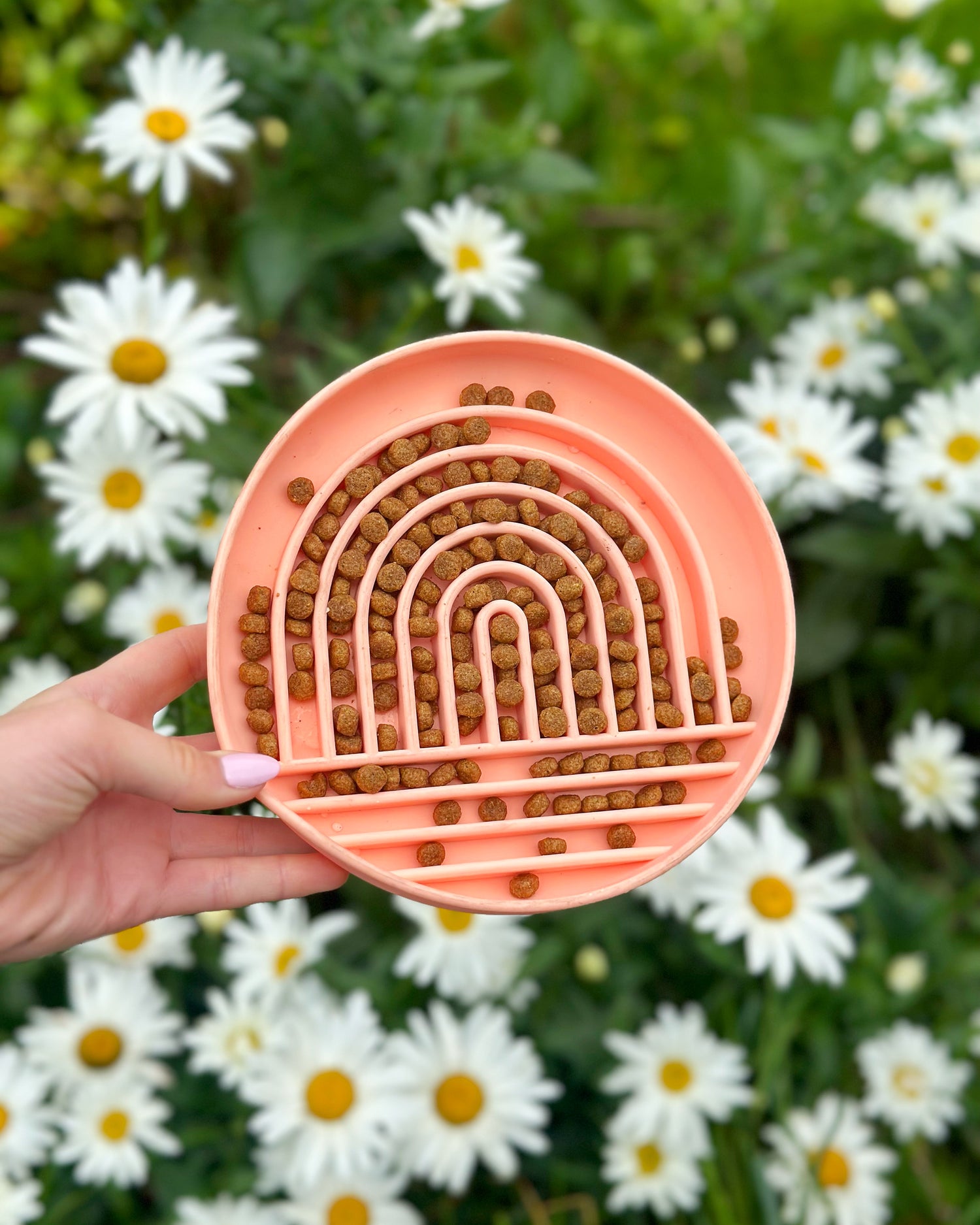 Slow Feeder / Lick Mat