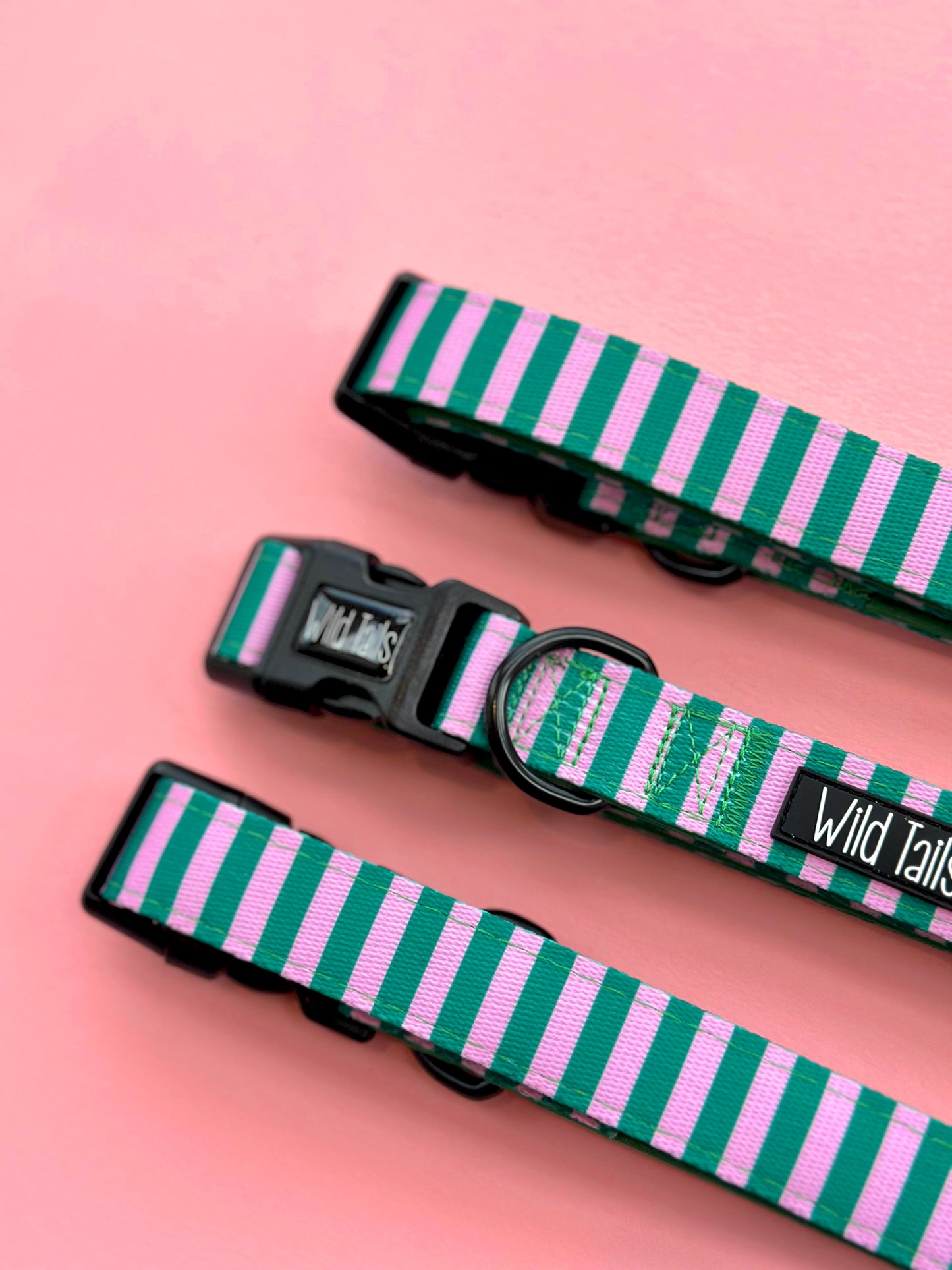 All Decked Out Collar