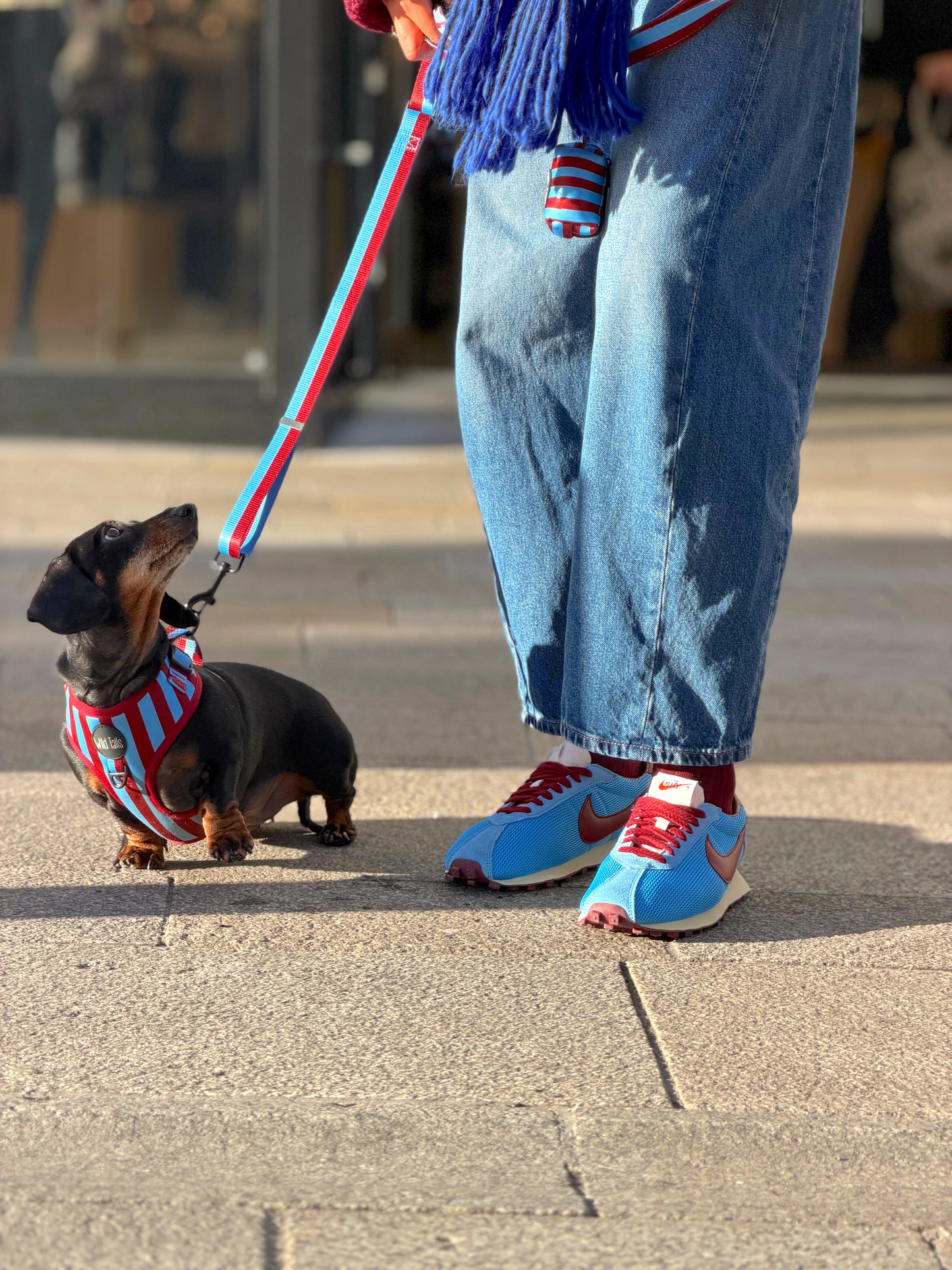 Varsity Adjustable Lead