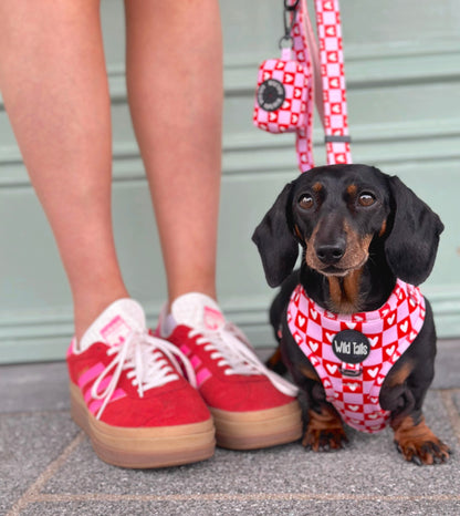 Love Letters Harness