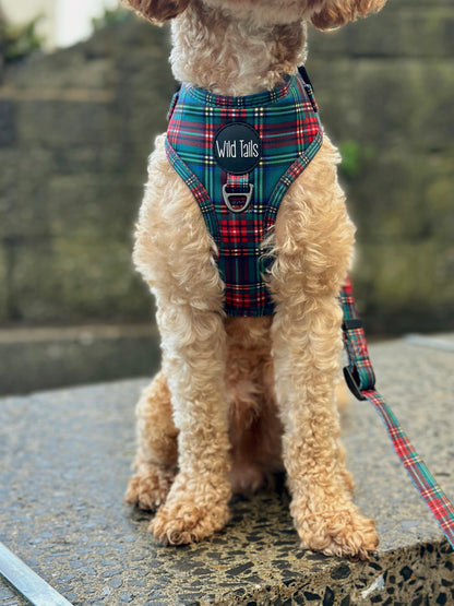 Tartan Tails Harness