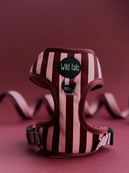 Very Cherry Harness