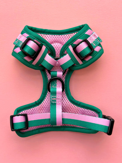 All Decked Out Harness