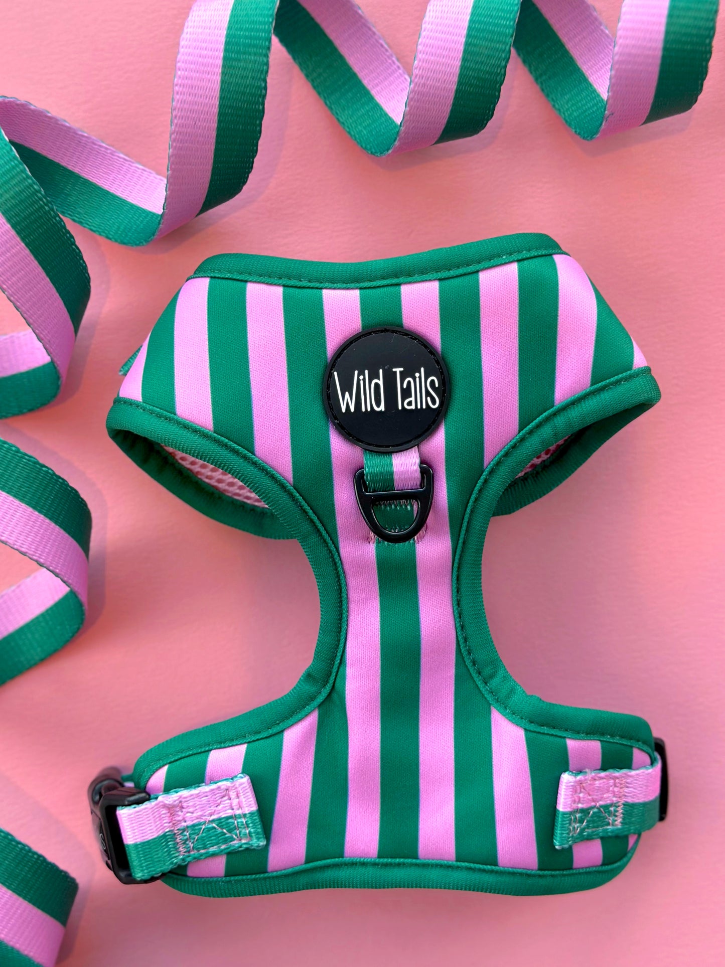 All Decked Out Harness