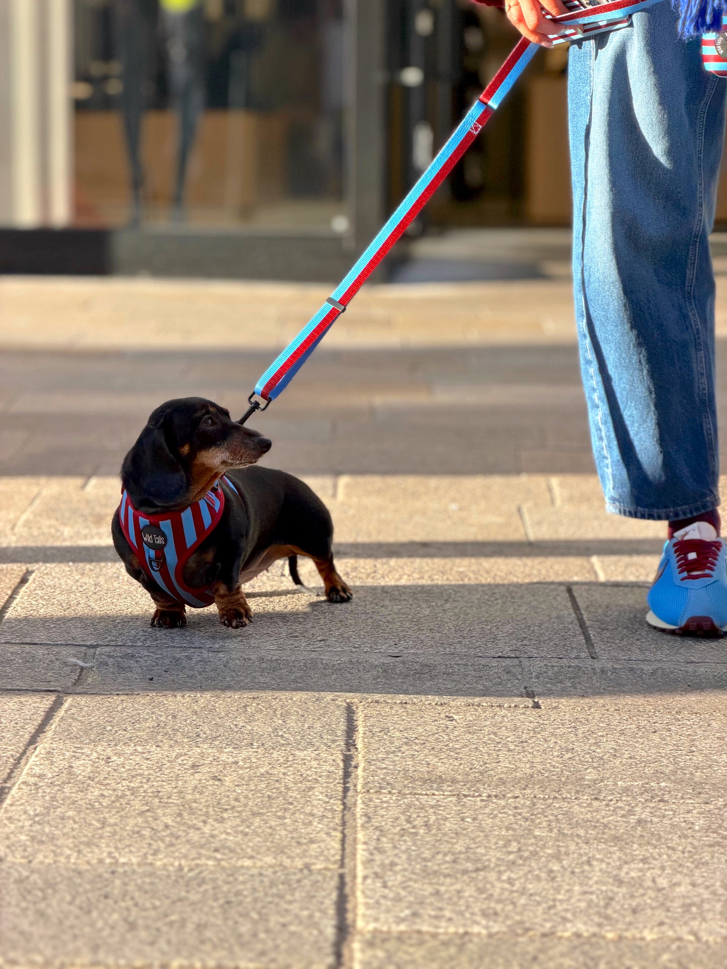 Varsity Adjustable Lead