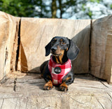 Classic Collection Harness Red