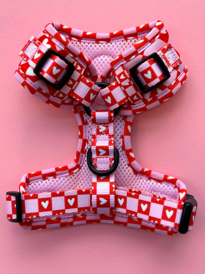 Love Letters Harness