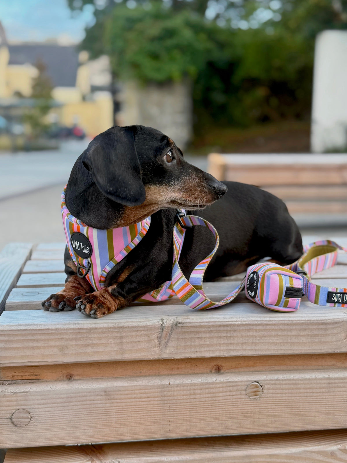 Retro Poo Bag Holder