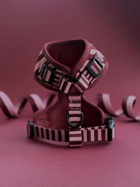 Very Cherry Harness