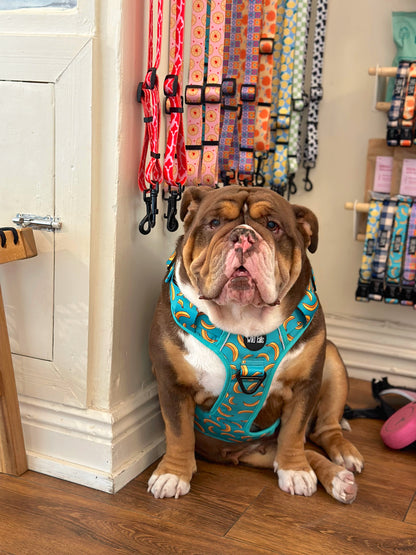 Large & In Charge Go Bananas