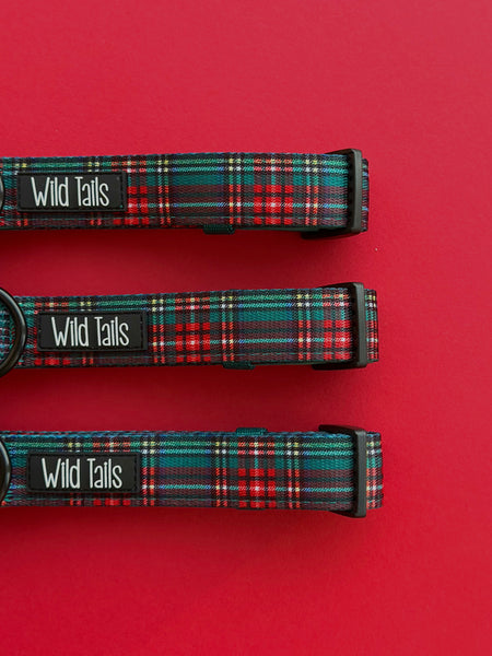 Tartan Tails Collar