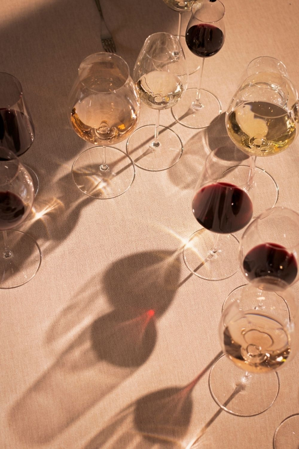 Wine @ Wild Tails