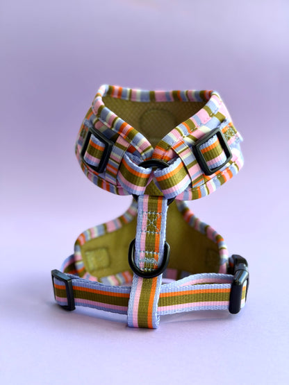 Retro Harness