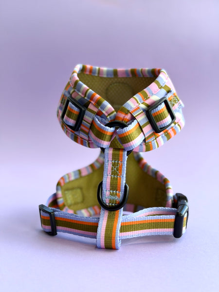 Retro Harness