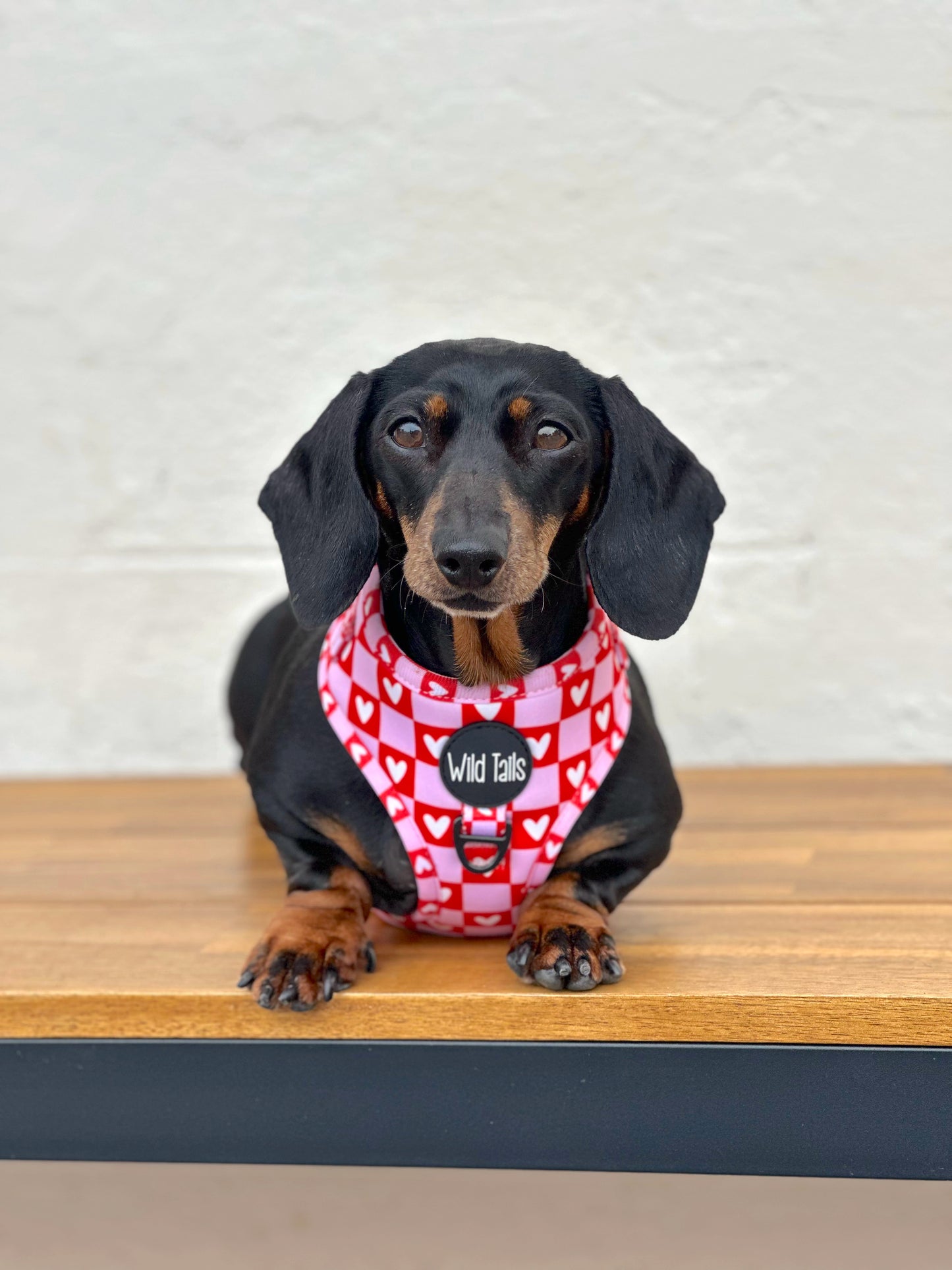 Love Letters Harness