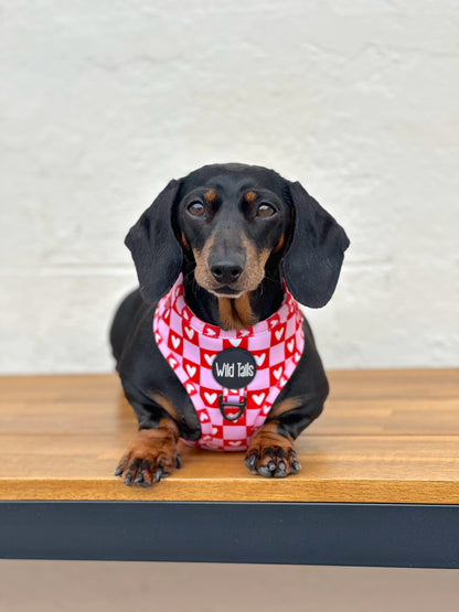 Love Letters Harness