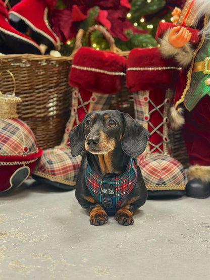 Tartan Tails Harness