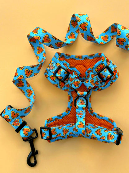 Love Bug Harness