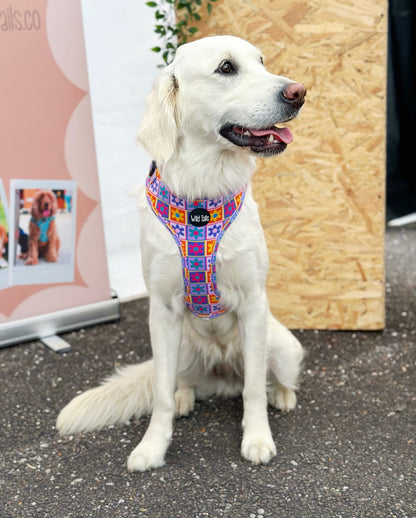 Flower Power Harness