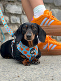 Love Bug Harness