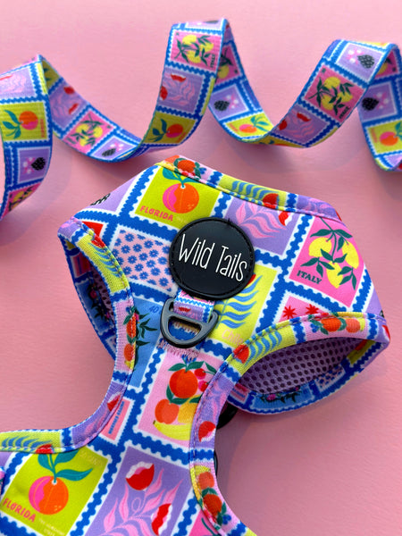 Bon Voyage Harness
