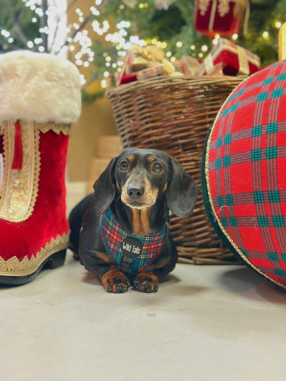 Tartan Tails Harness