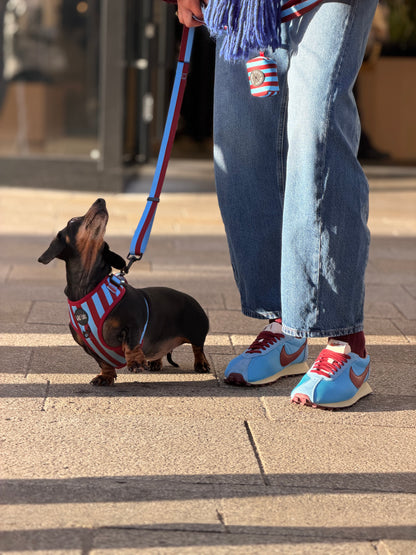 Varsity Poo Bag Holder