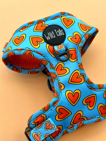 Love Bug Harness