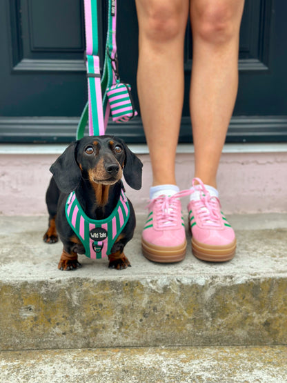 All Decked Out Harness