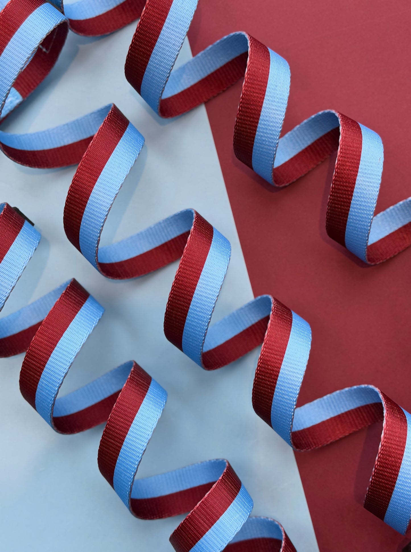 Varsity Adjustable Lead