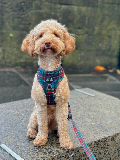Tartan Tails Harness