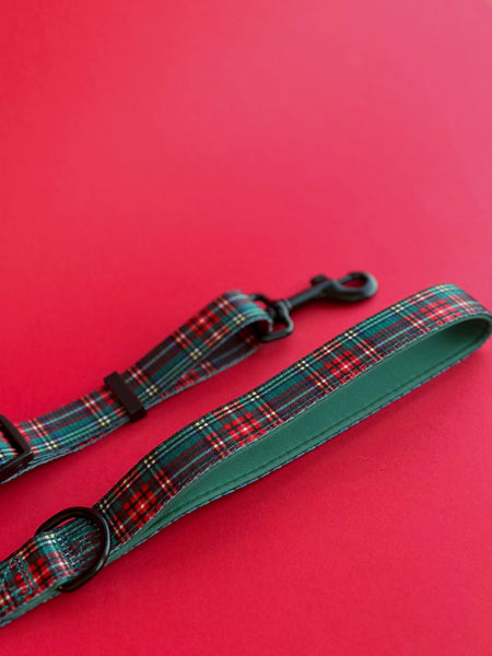 Tartan Tails Lead