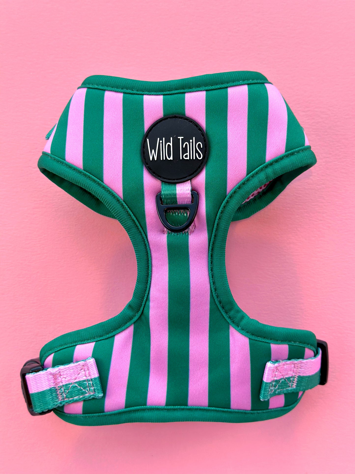 All Decked Out Harness