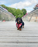 Classic Collection Harness Red