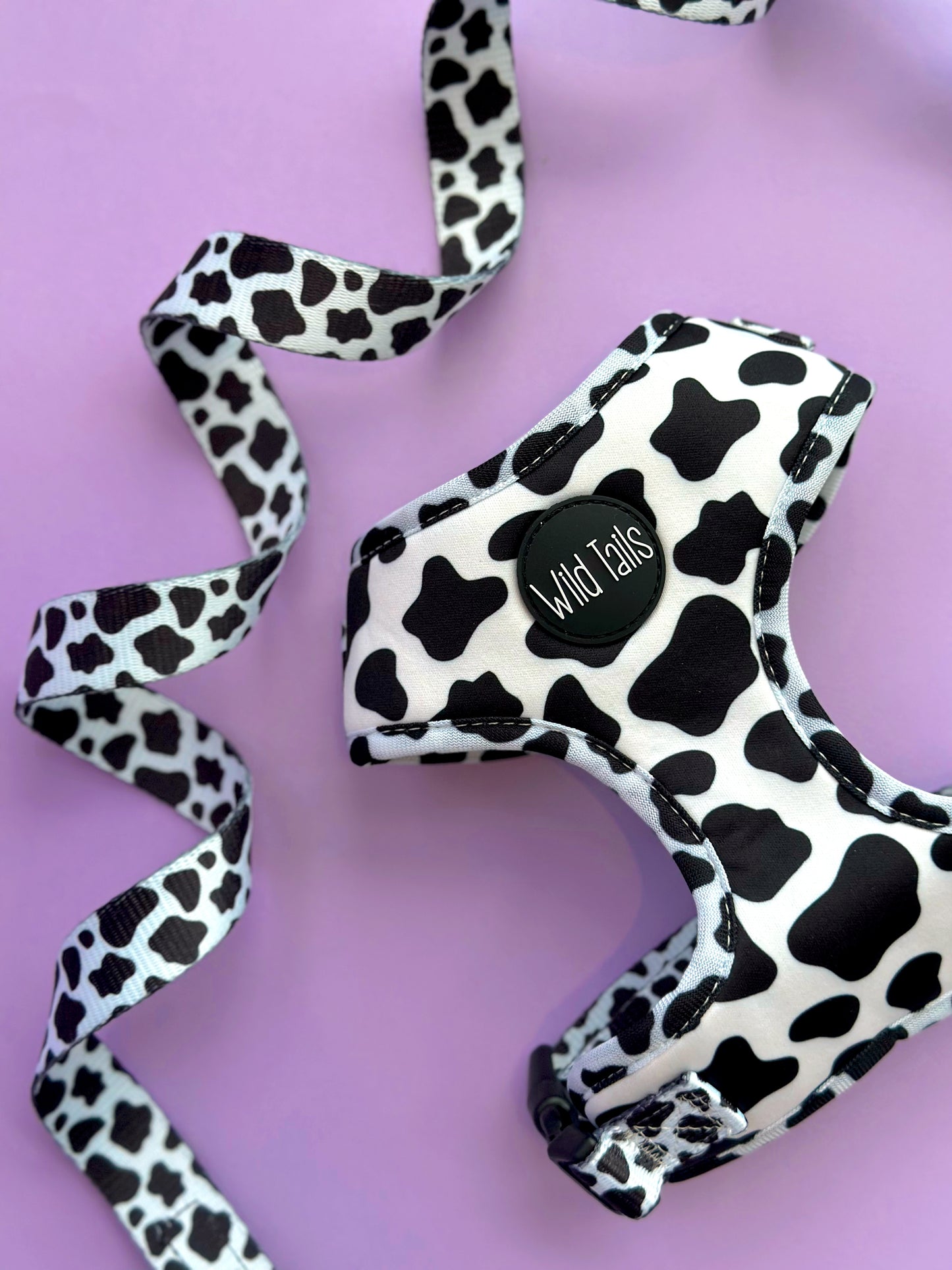 Making Mooves Harness