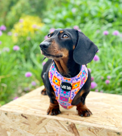 Flower Power Harness