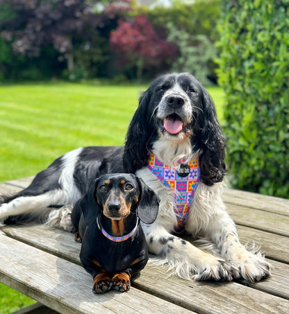Flower Power Harness