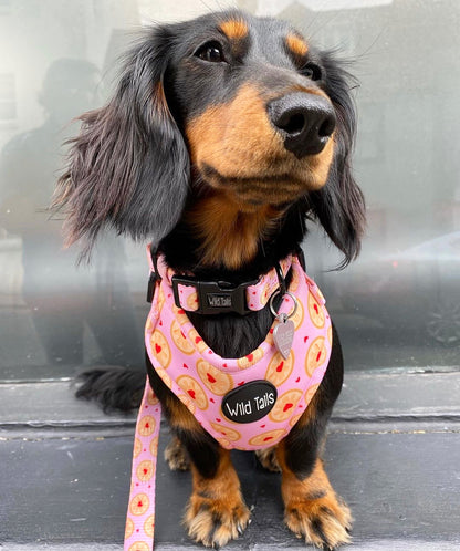 I don't give a Jam Harness