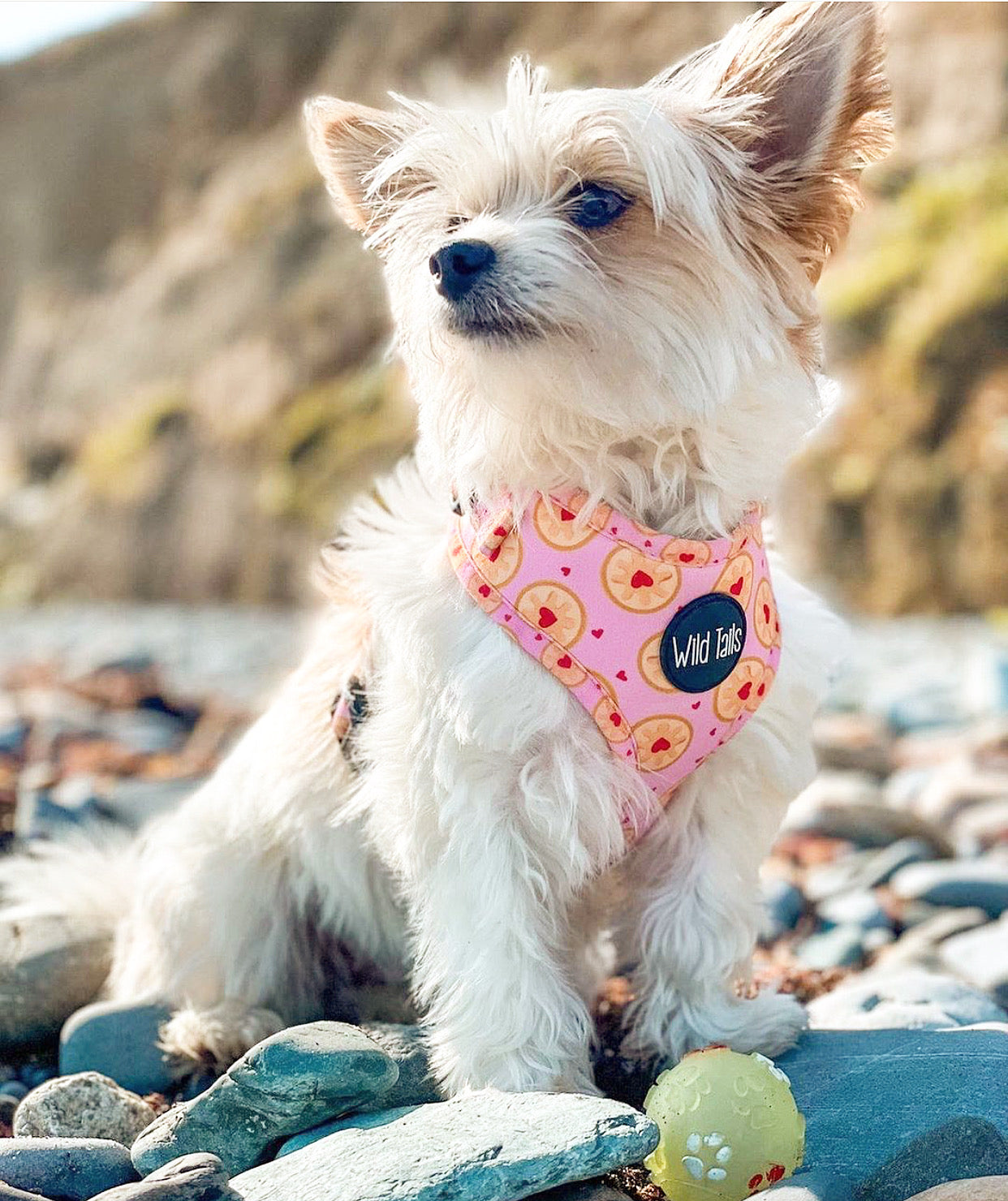 I don't give a Jam Harness