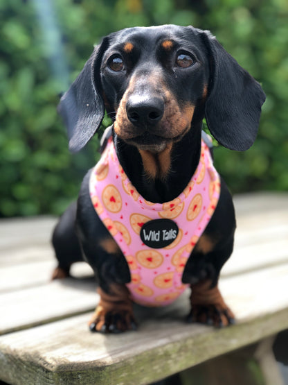 I don't give a Jam Harness