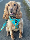 Go Bananas Harness - Seconds