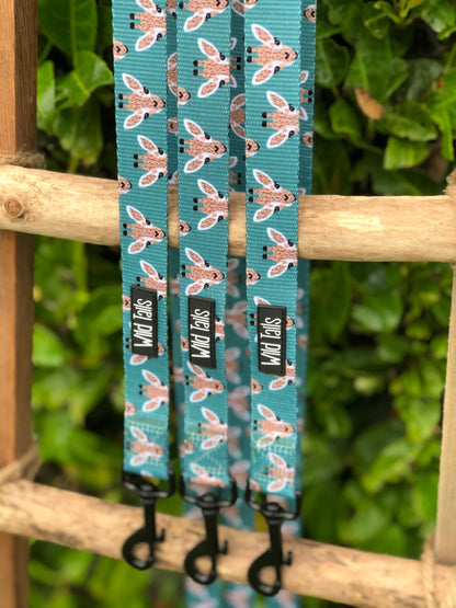 Your Highness Adjustable Lead