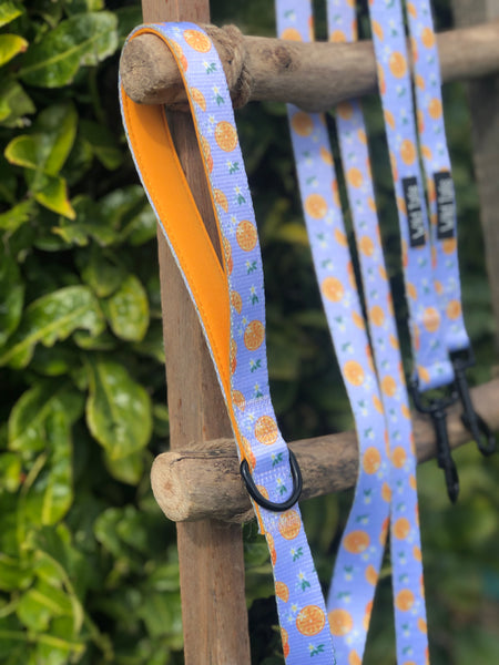 Orange Blossom Lead