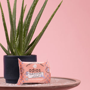 Compostable Pet Wipes by Adios